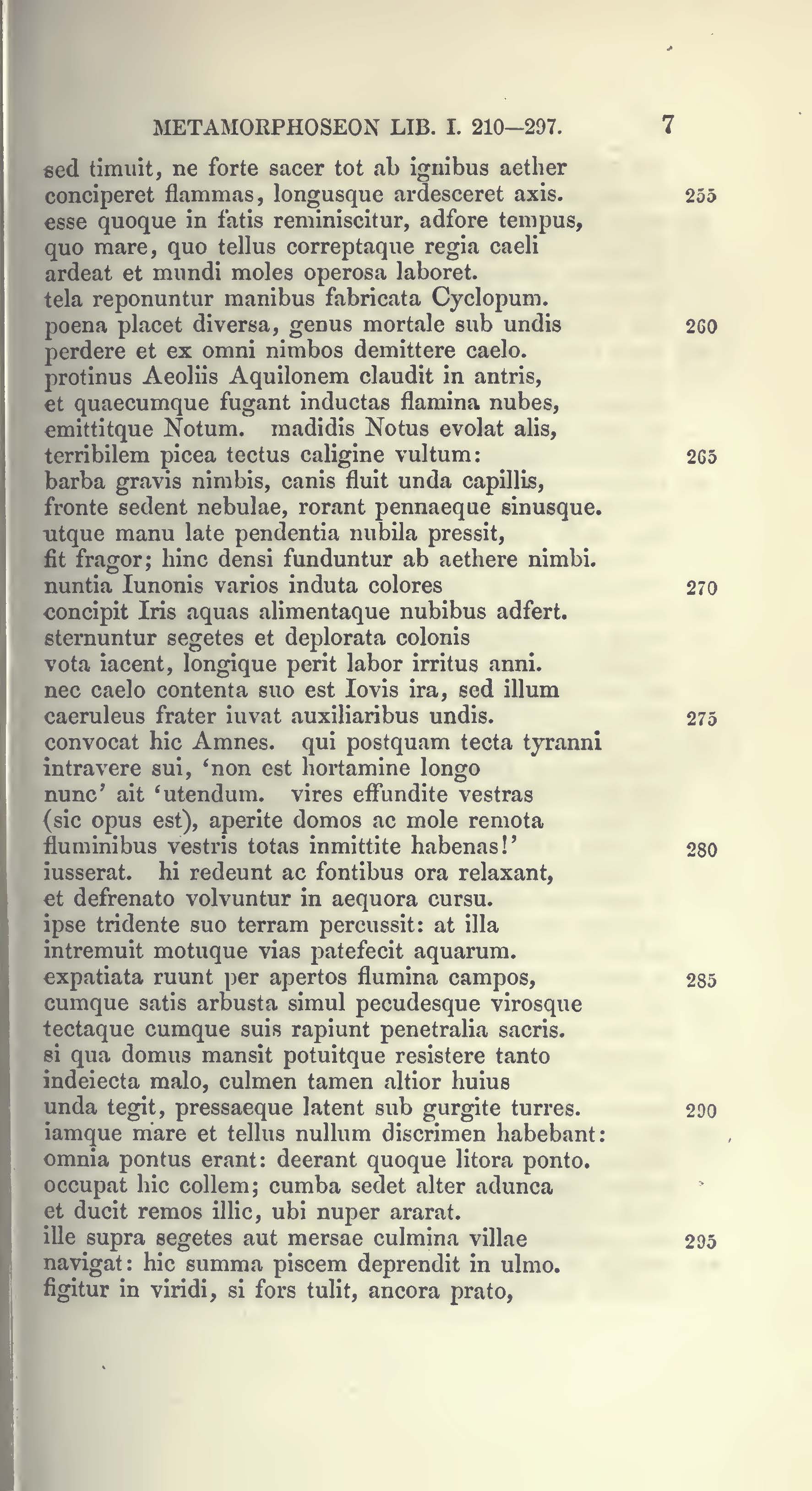 image failed to load