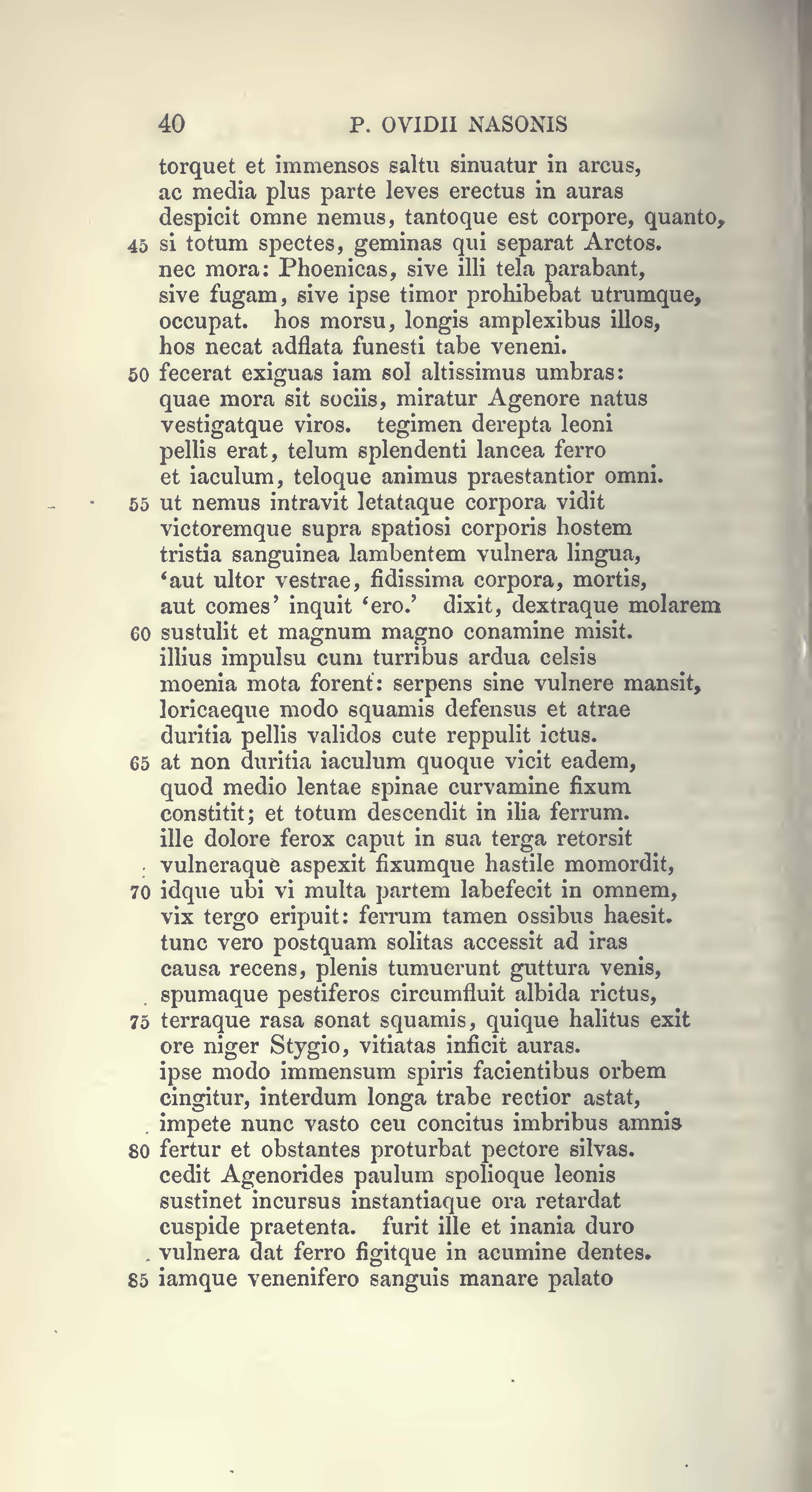 image failed to load