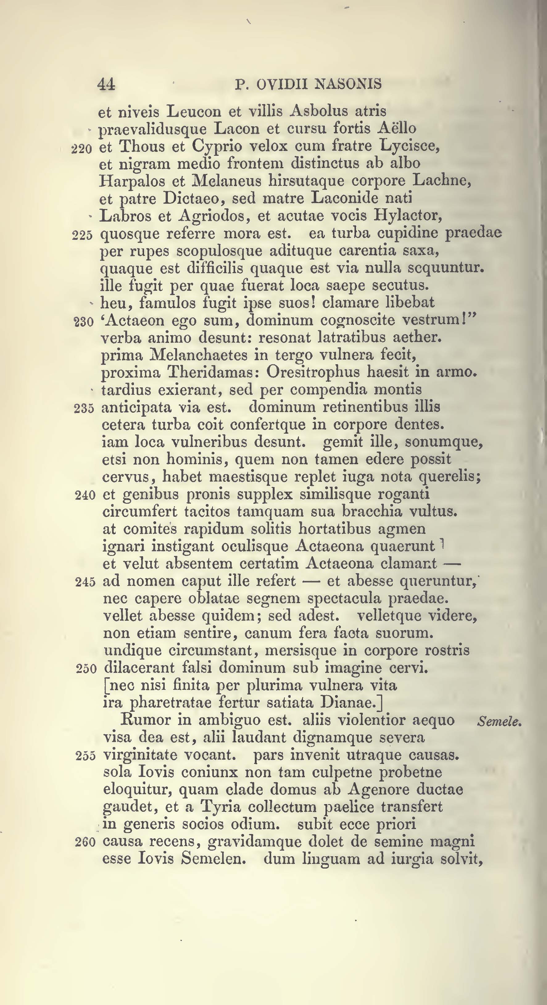 image failed to load