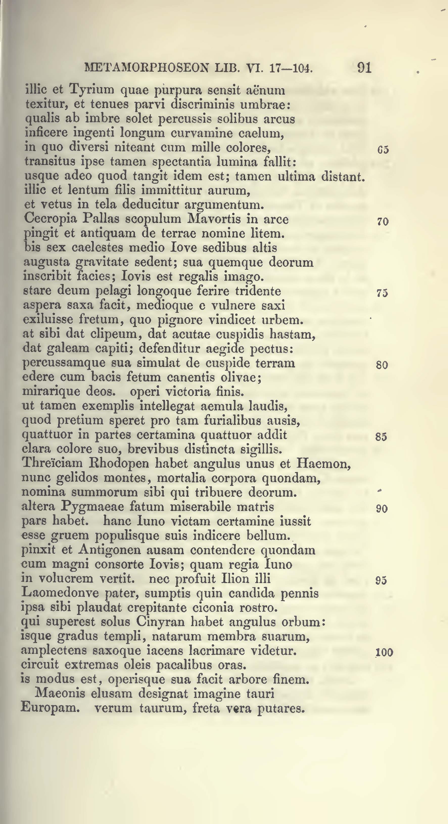 image failed to load