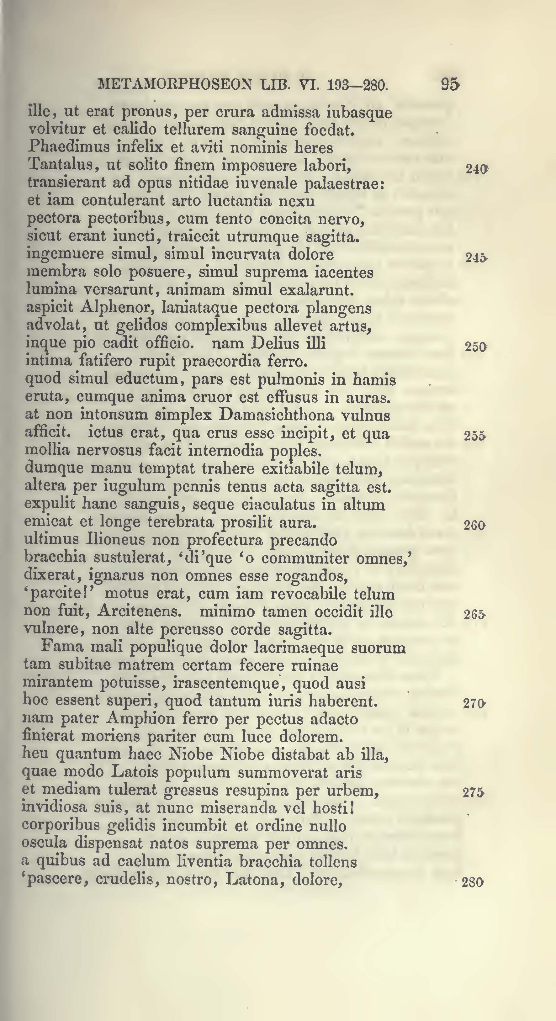 image failed to load