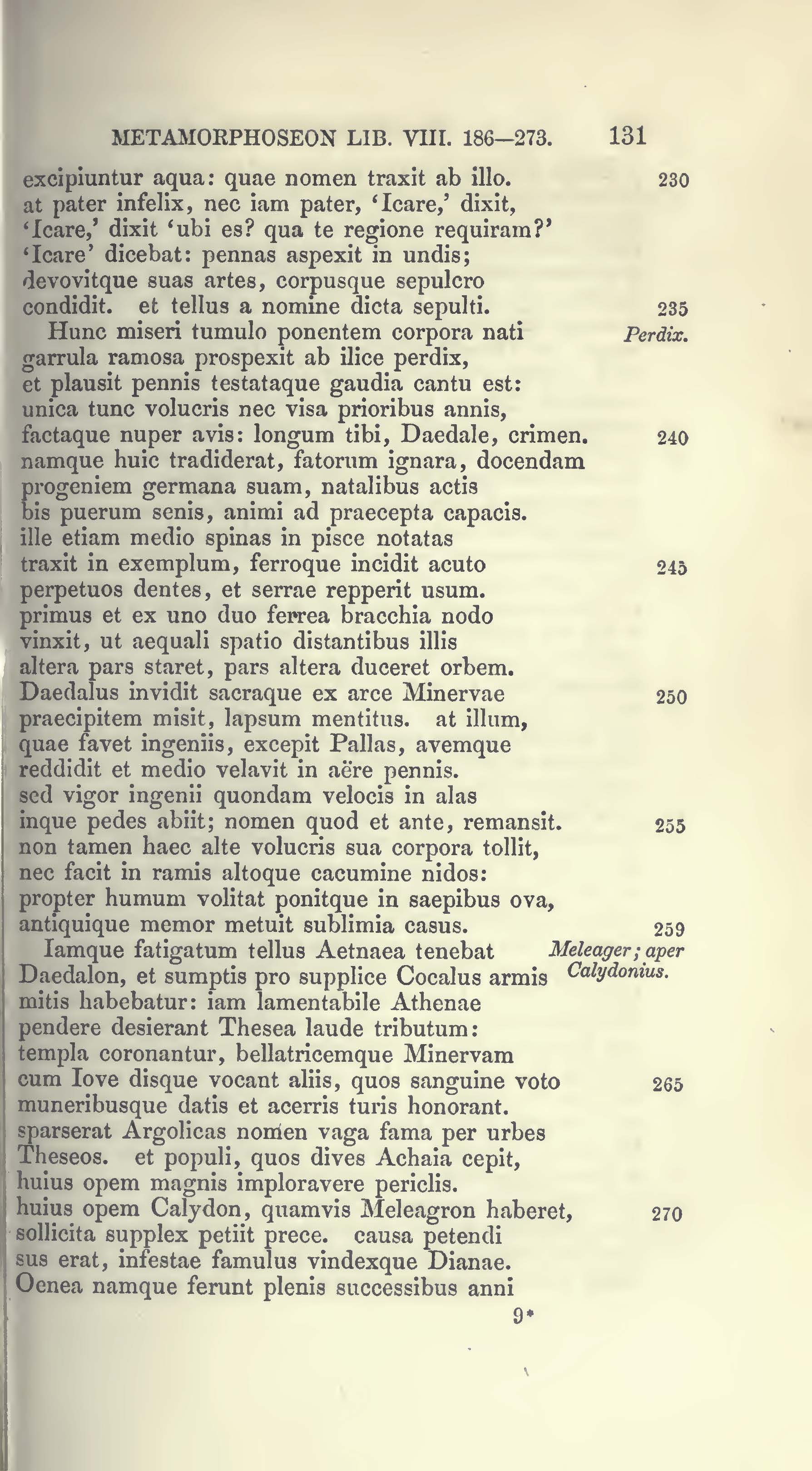 image failed to load