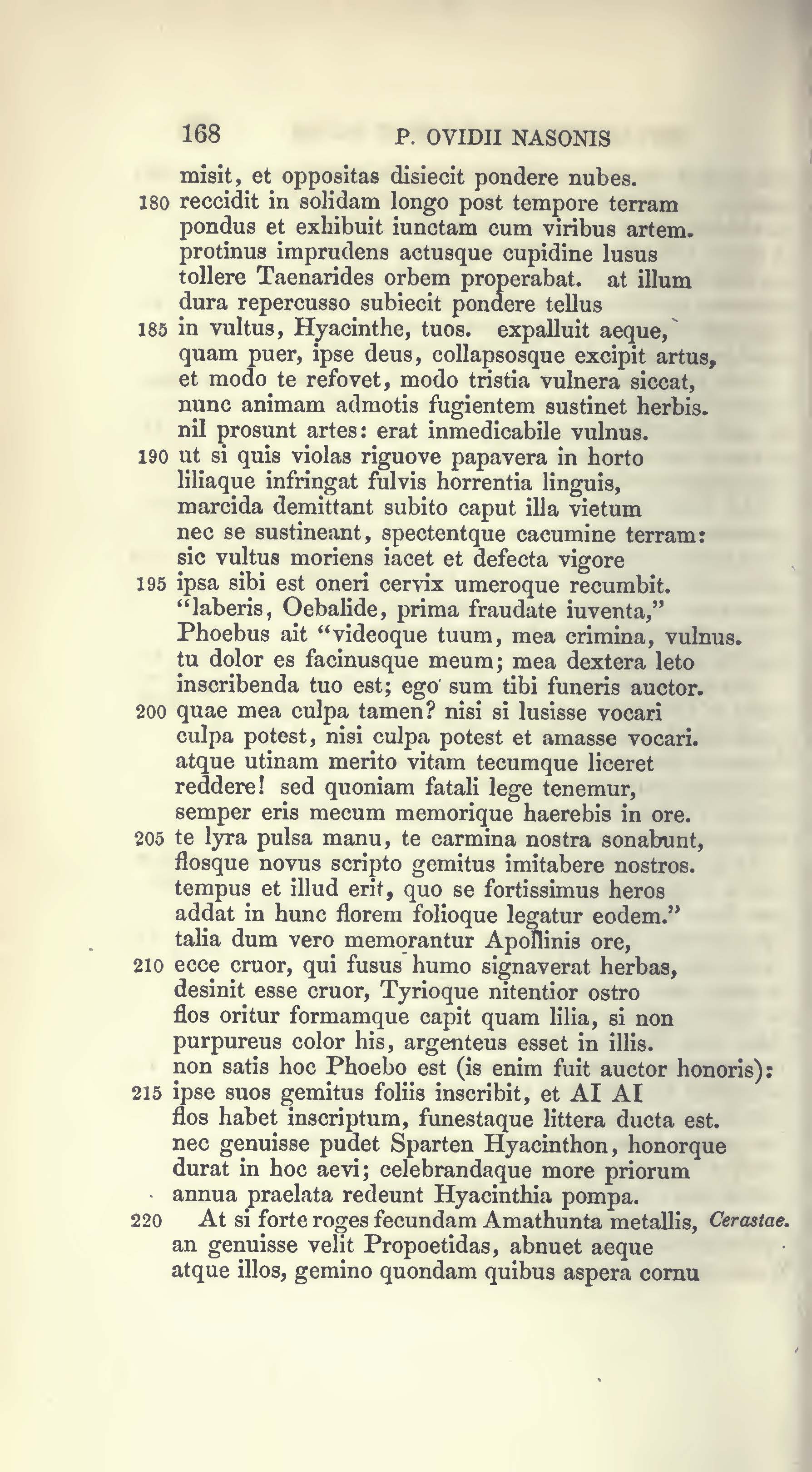 image failed to load