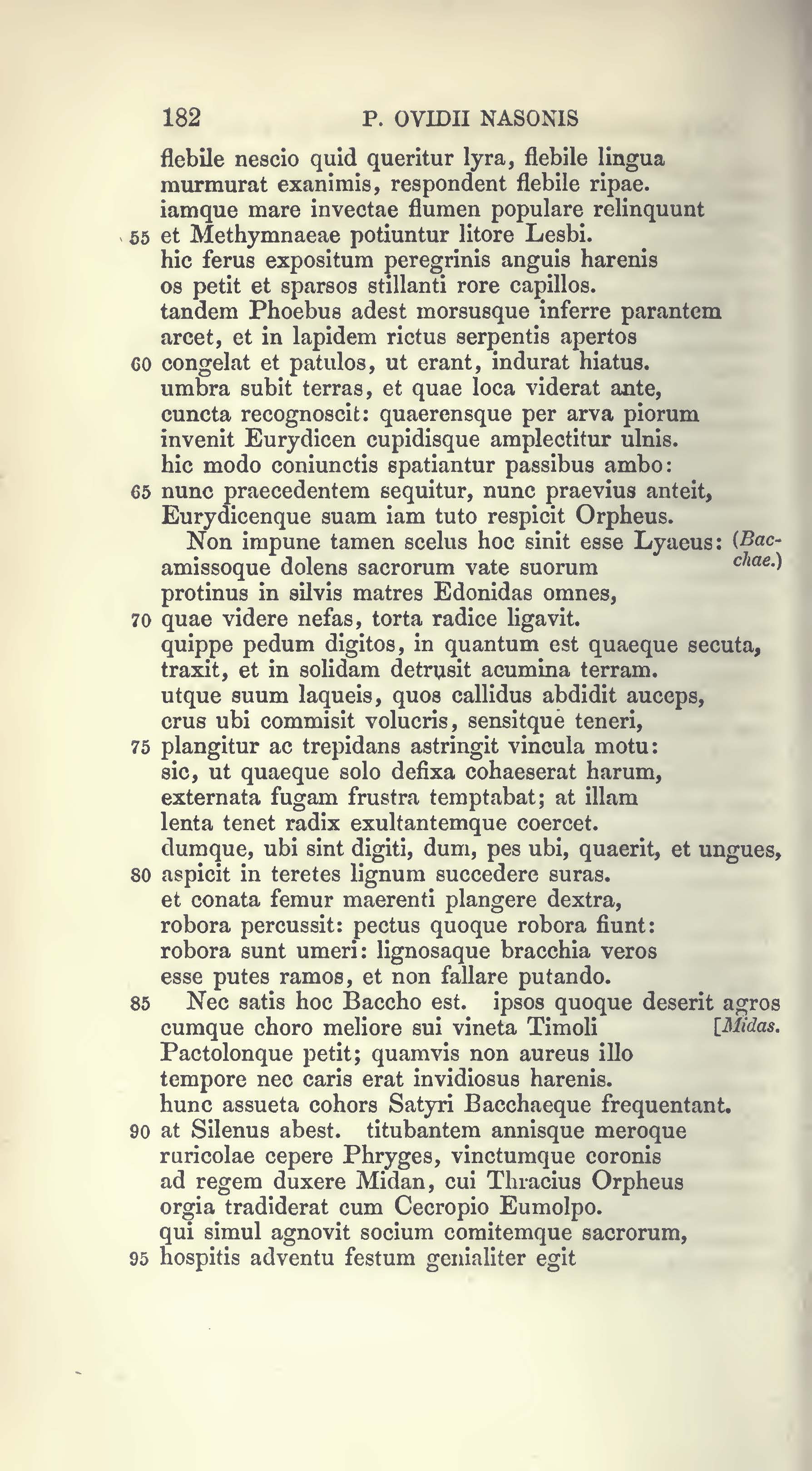 image failed to load