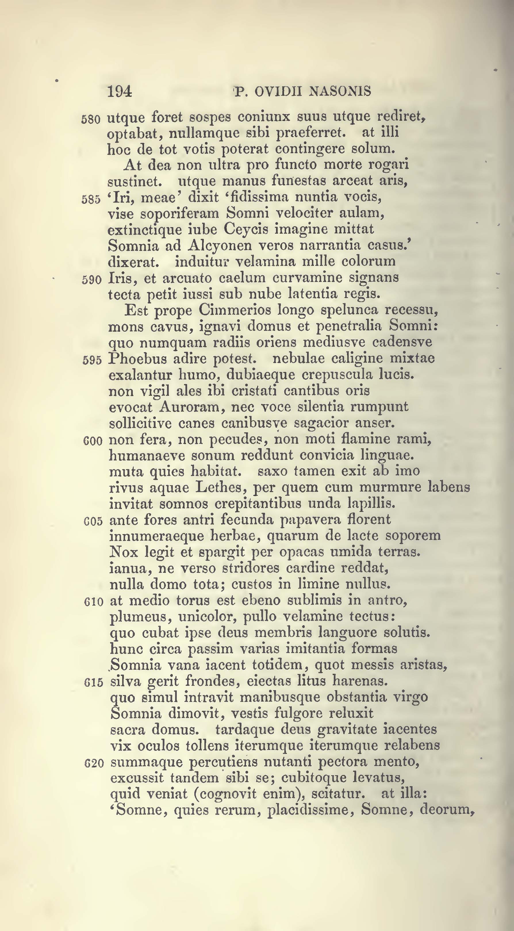 image failed to load