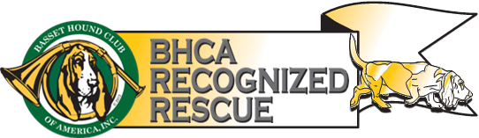 BHCA Recognized Rescue