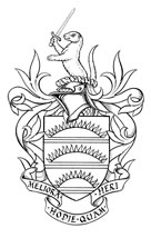 arms